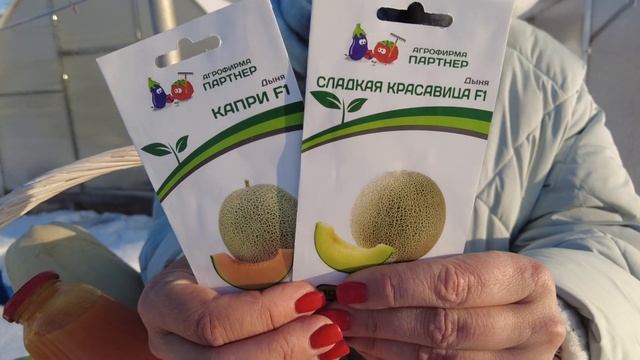 Это ЛУЧШИЕ семена бахчевых | Сеем тыкву, дыни и арбузы смотреть онлайн