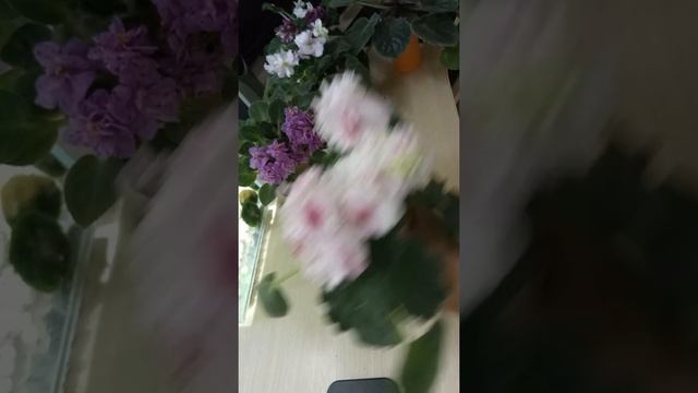 Цветущий октябрь 2019 смотреть онлайн