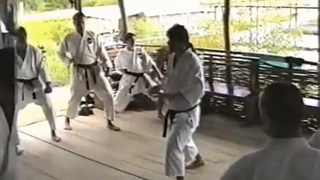 Летний тренировочной лагерь по Каратэ Фудокан - Будераж 2000 год смотреть онлайн