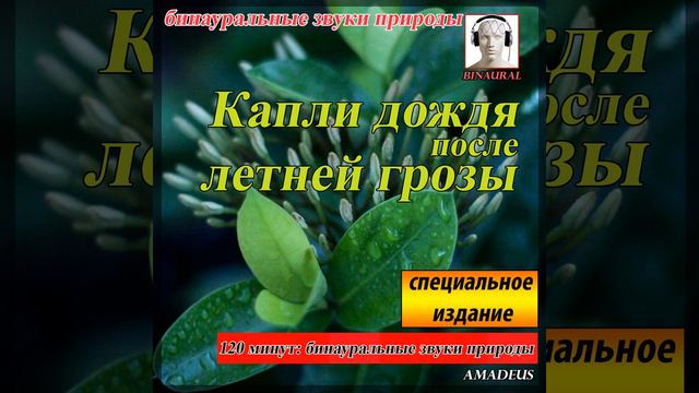 бинауральные звуки природы: Тропический лес с песчаным пляжем (Bonus Track) смотреть онлайн