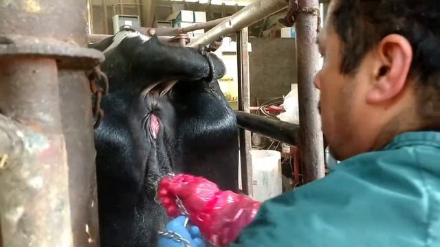 Новотел в действии смотреть онлайн