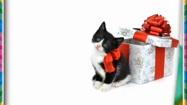 мой подарок на бабушкин юбилей смотреть онлайн