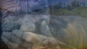 "Снег  седины"   исп. А.Исенгазин