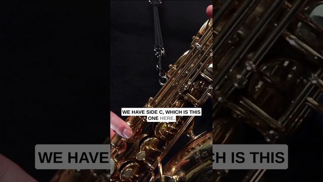 Strange Sax Keys Explained #saxlessons #saxophonelessons #altosax #saxophone смотреть онлайн