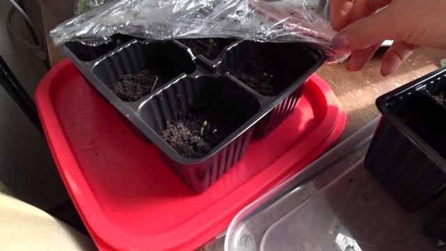 Стройка мастерской закончена!!! Осталась финишная отделка. Покрасила футболку и кружево гранатом. смотреть онлайн