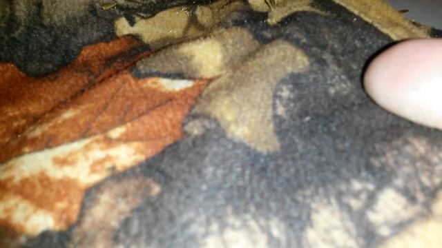 Быстрое удаление семян череды с одежды смотреть онлайн