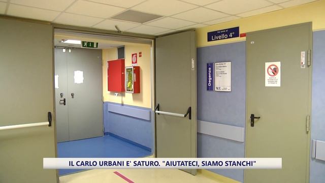 Il Carlo Urbani è saturo: "aiutateci, siamo stanchi" смотреть онлайн
