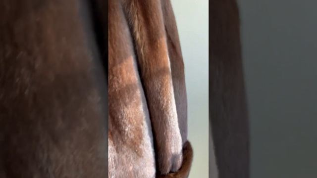 14 февраля 2023 г. смотреть онлайн