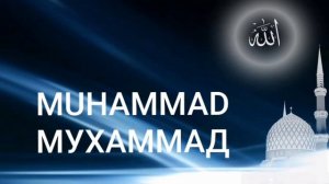 Сура Мухаммад (Мухаммед) |Чтец Мишари Рашид