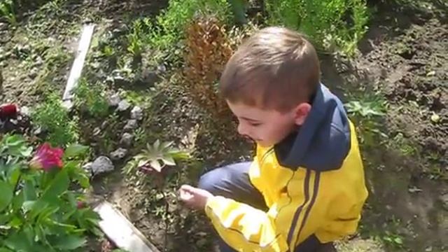 клещевина на огороде 1 смотреть онлайн