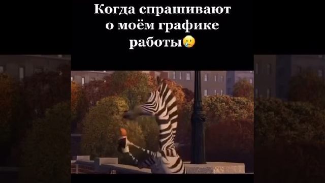 Когда спрашивают график работы смотреть онлайн