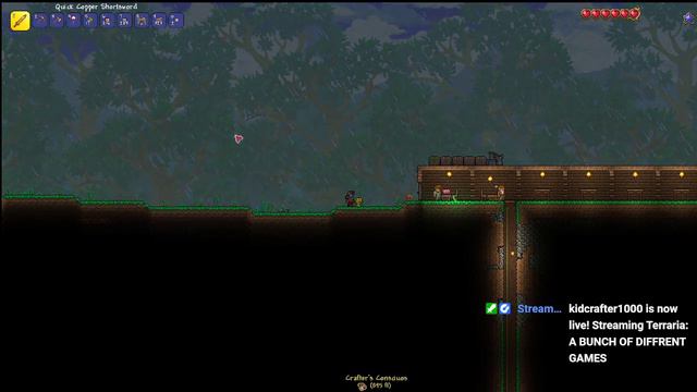 terraria part 2 THE ENCANTED BOOMERANG смотреть онлайн