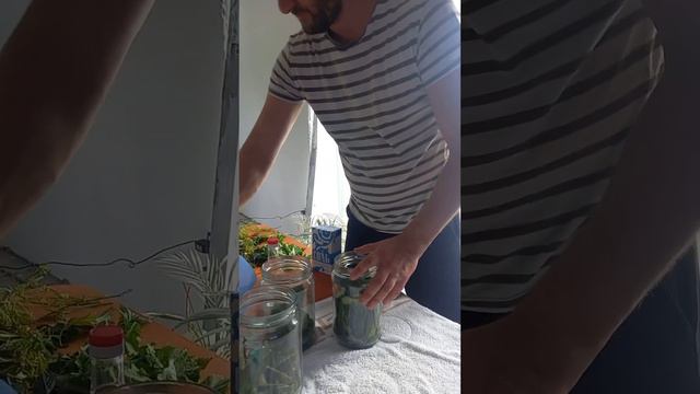 Маринуем огурцы .Помогаю жене. смотреть онлайн