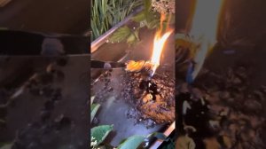 Отжигаем новые работы врагов#nazaretN#чисткаNazaretN#отливканавоскNazaretN#magicNazaretN