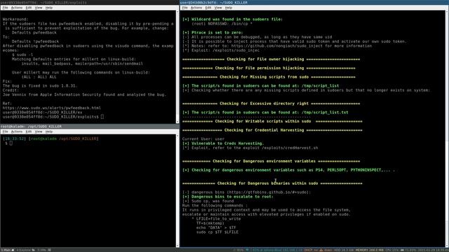 Part 12 - CVE-2019-18634 - pwfeedback смотреть онлайн