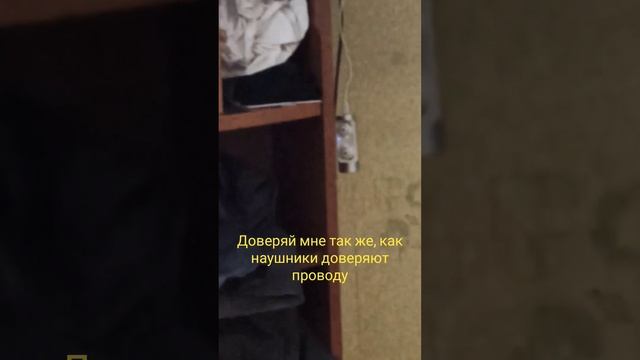 доверие #наушники #провод #зарядка #прикол #жиза смотреть онлайн