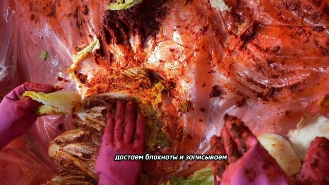 ТехноПоддержка