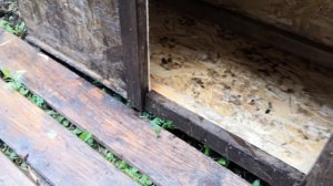 Как приучить собаку к будке, клетке.