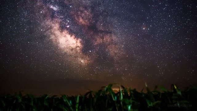 Медитация отдохновения: Элетерия "Внутренний отпуск" смотреть онлайн