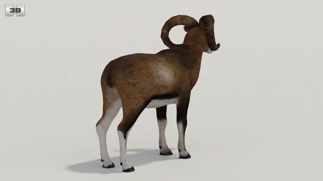 Mouflon Low Poly 3D model by 3DModels.org смотреть онлайн