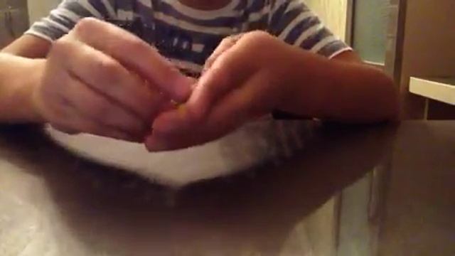 Фокус коробка для монет смотреть онлайн