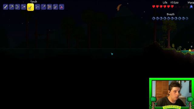 Terraria - Episode 16 - Willy The Traveling Merchant смотреть онлайн