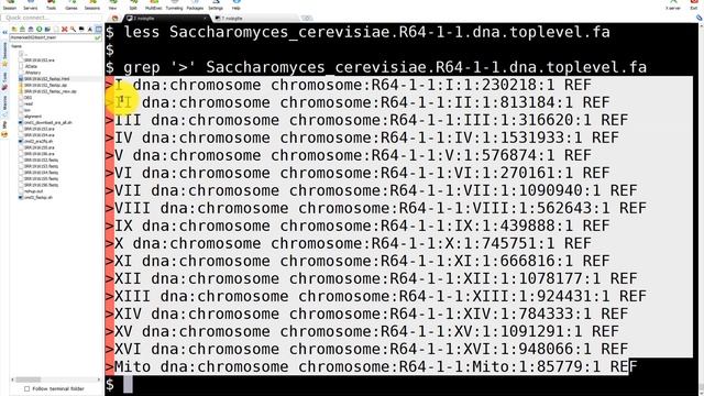 从零开始学生信之Linux, Perl and R 第三讲 смотреть онлайн