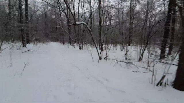 Дорога через лес, хруст снега под ногами смотреть онлайн