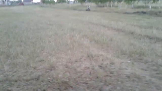 28.06.22 удобрял картоху конским навозом и т.д смотреть онлайн