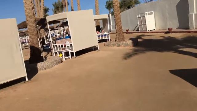 Пляж Albatross Leila Wa Leila. Январь 2022! Погода. Хургада.