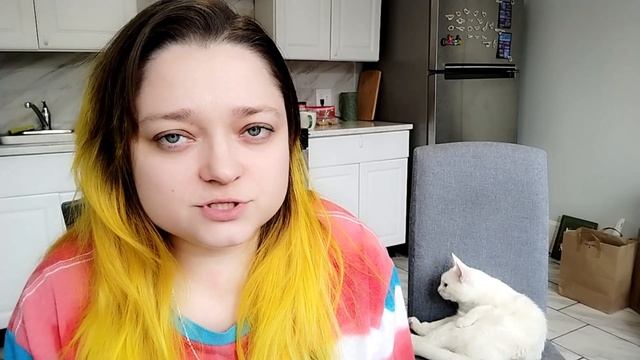 Как перевезти кошку в США | Как перевезти домашнее животное за границу смотреть онлайн