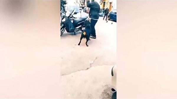 Без названия