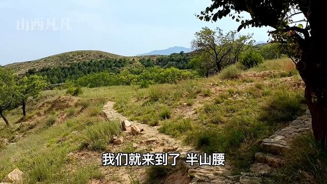 山西1600年道观，3个大学生道士竟然守护着9条龙，为啥一直不下山？Multi-language subtitles are supported смотреть онлайн