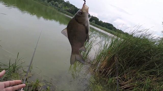 Каким будет клев карася перед бурей? Рыбалка 2019 смотреть онлайн