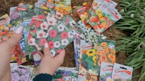 Посейте ЭТИ ЦВЕТЫ СРАЗУ в ГРУНТ в МАЕ и ЛЮБУЙТЕСЬ ЦВЕТЕНИЕМ ВСЁ ЛЕТО! Часть 1