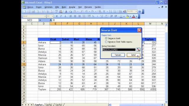 Microsoft Excel 2003: Senaryoları Kullanmak смотреть онлайн