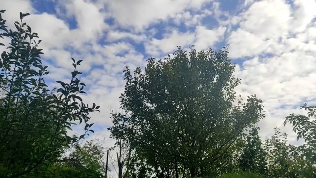 Покров 14 октября 2022 года. Приметы, обычаи и традиции праздника смотреть онлайн