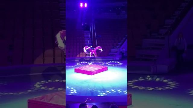 цирковой фестиваль в магнитогорске " сальто в будущее" трио на кольце " стюардессы" смотреть онлайн
