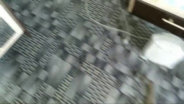 Кот Говорит О Жизни