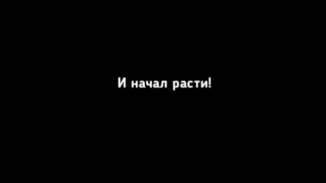 Как Не Надо Снимать - РОСТ СИРЕНОГОЛОВОГО #27 смотреть онлайн