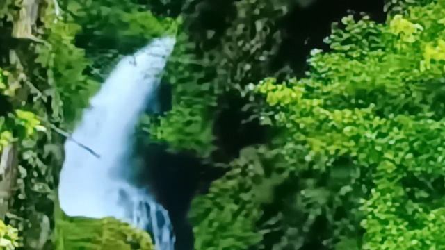 1)Научиться прощать! Автор Надежда Крылова. 2)Веди меня своей рукой! смотреть онлайн