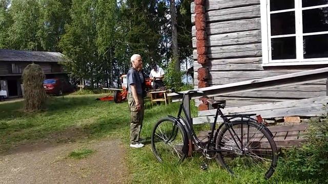 Рябина кудрявая в Финляндии смотреть онлайн