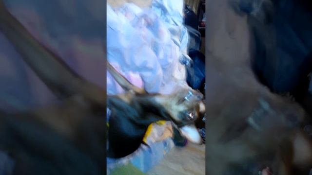 12 июня 2016 г. смотреть онлайн