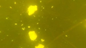 Паук-подъёмник (малявочница) для ловли рыбы. Обзор и тест