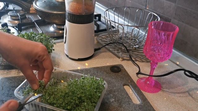 Коктейль для похудения из микрозелени! смотреть онлайн