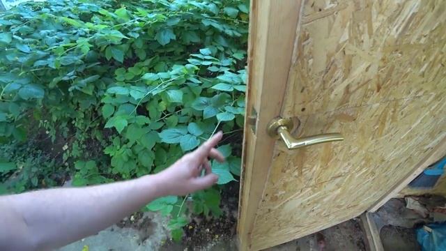 Беседка из бруса своими руками - готовимся к потолкам смотреть онлайн