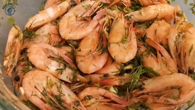 Вегетарианские Кафе и Рестораны