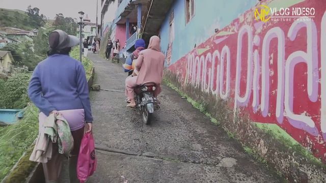 NEPAL VAN JAVA TERBARU 2023 смотреть онлайн