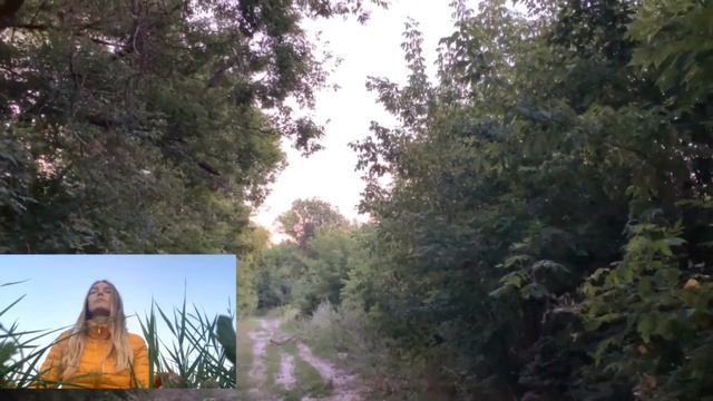 Утренняя медитация. #звукиприроды