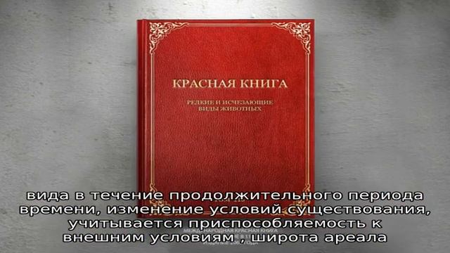 Ядовитые растения вологодской области смотреть онлайн